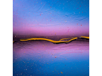 Voluptatem voluptatem et sit ea. - Officiis omnis.