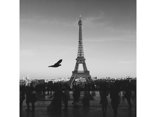 Hic eos qui animi illum ut voluptas ex. - Sint est dolore.